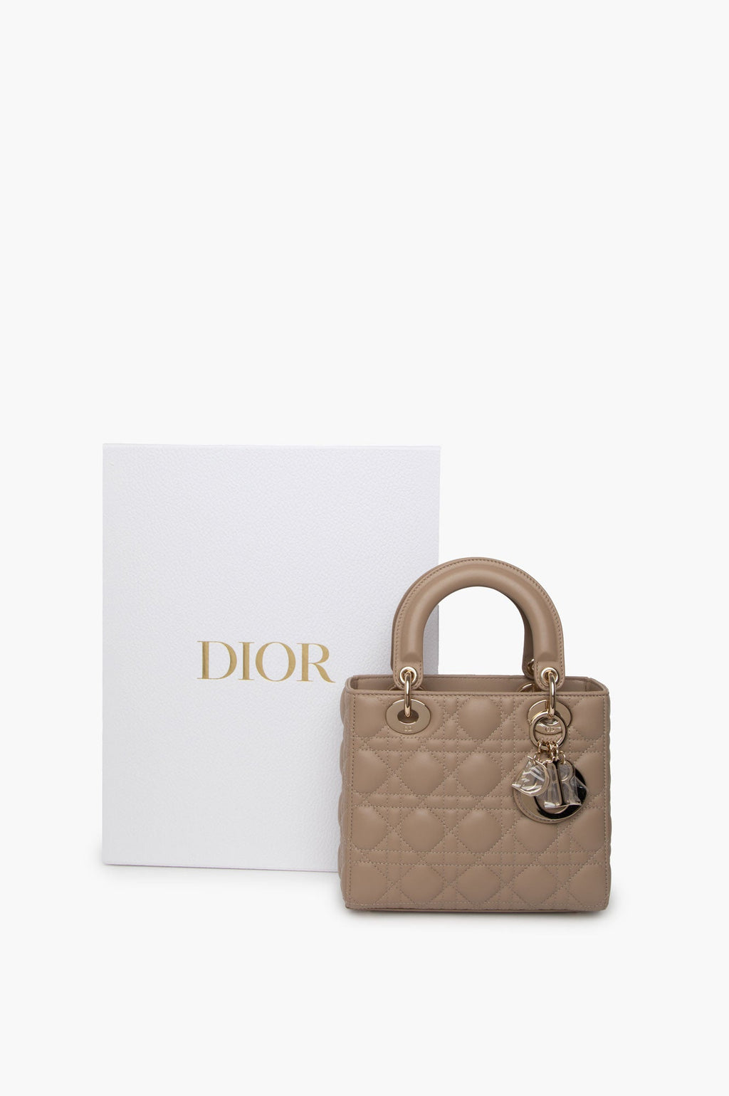 Christian Dior Hazelnut Small Lady Dior My ABCDior Bag