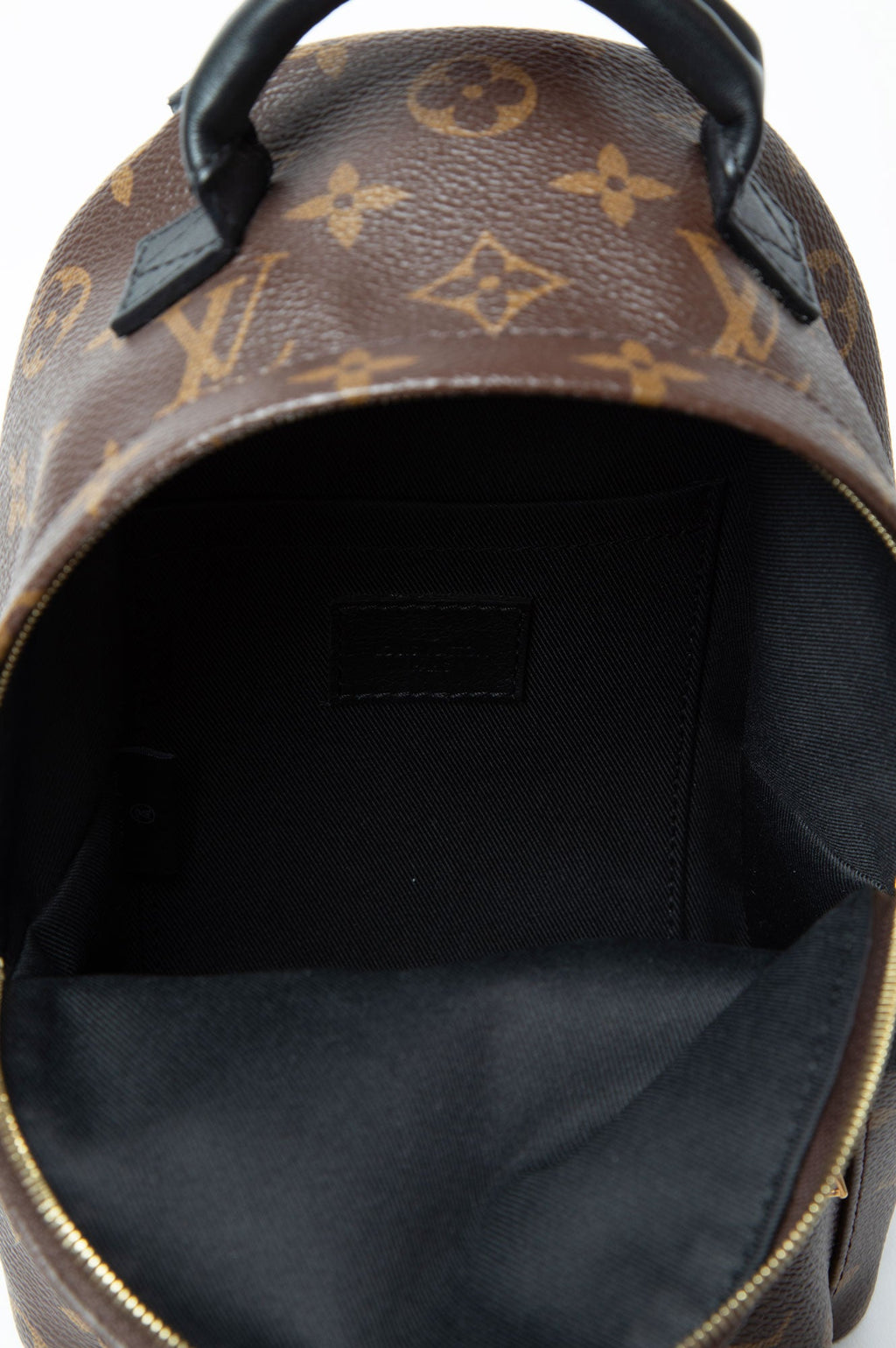 Louis Vuitton Brown Monogram Palm Spring Backpack