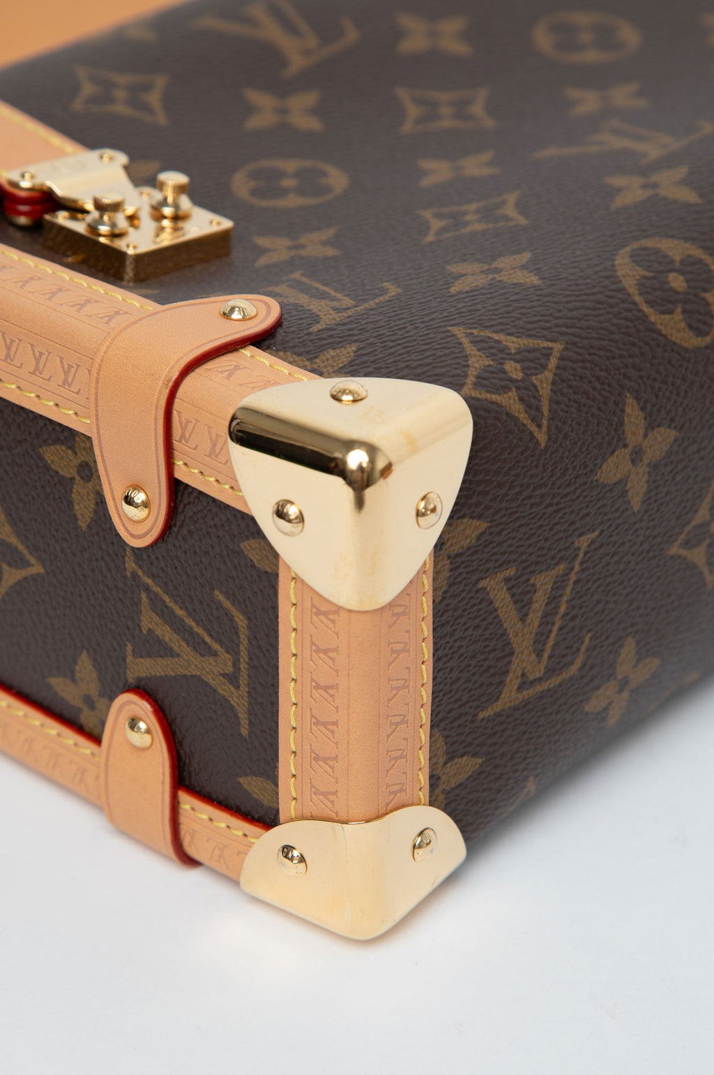 Louis Vuitton Monogram Side Trunk MM