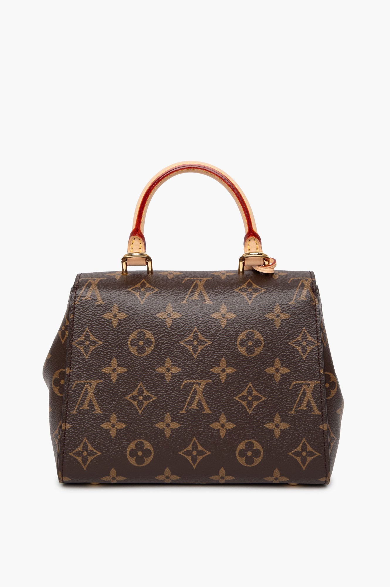 Louis Vuitton Monogram Cluny Mini