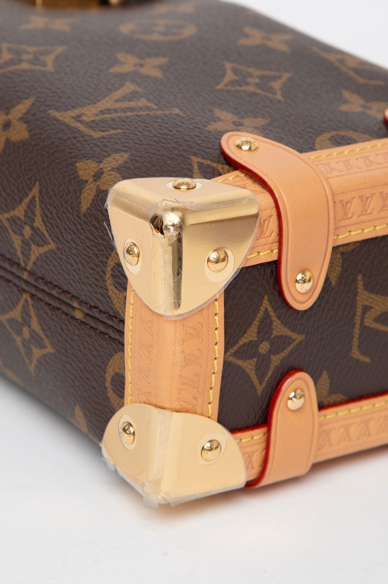 Louis Vuitton 2024 Side Trunk PM Bag