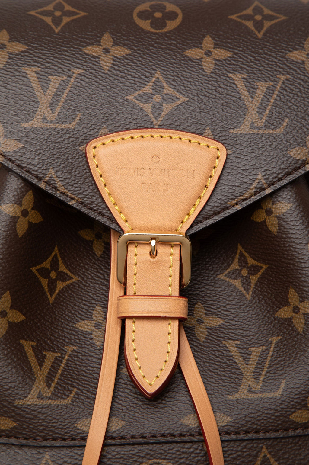 Louis Vuitton Monogram Montsouris PM Backpack