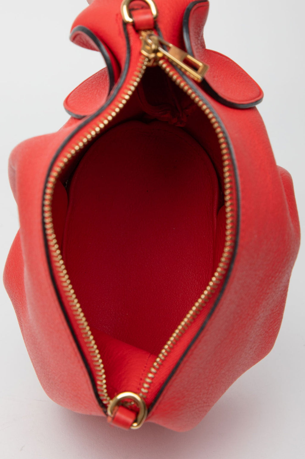 Loewe Red Mini Elephant Crossbody Bag
