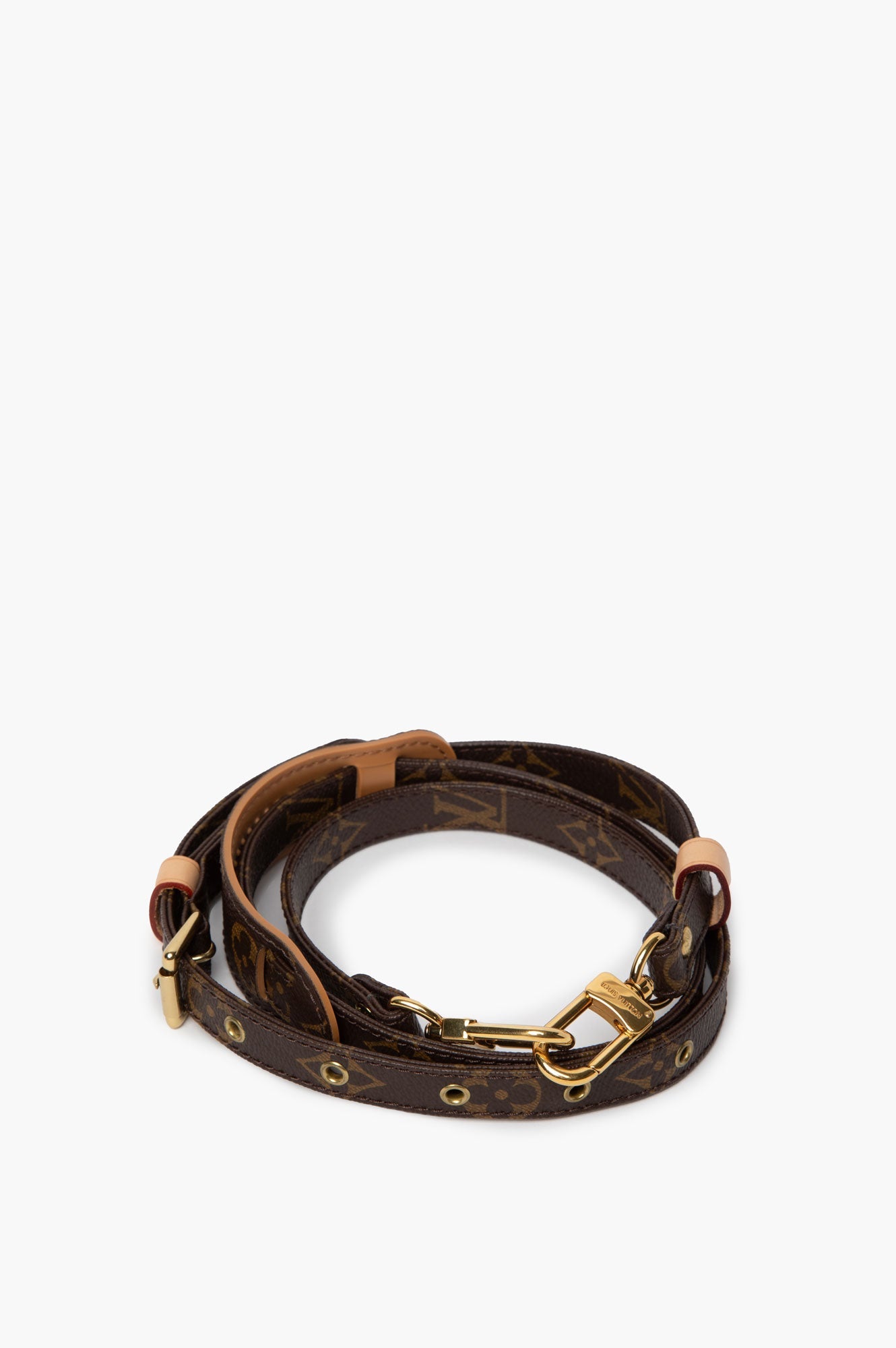 Louis Vuitton Monogram Bag Strap