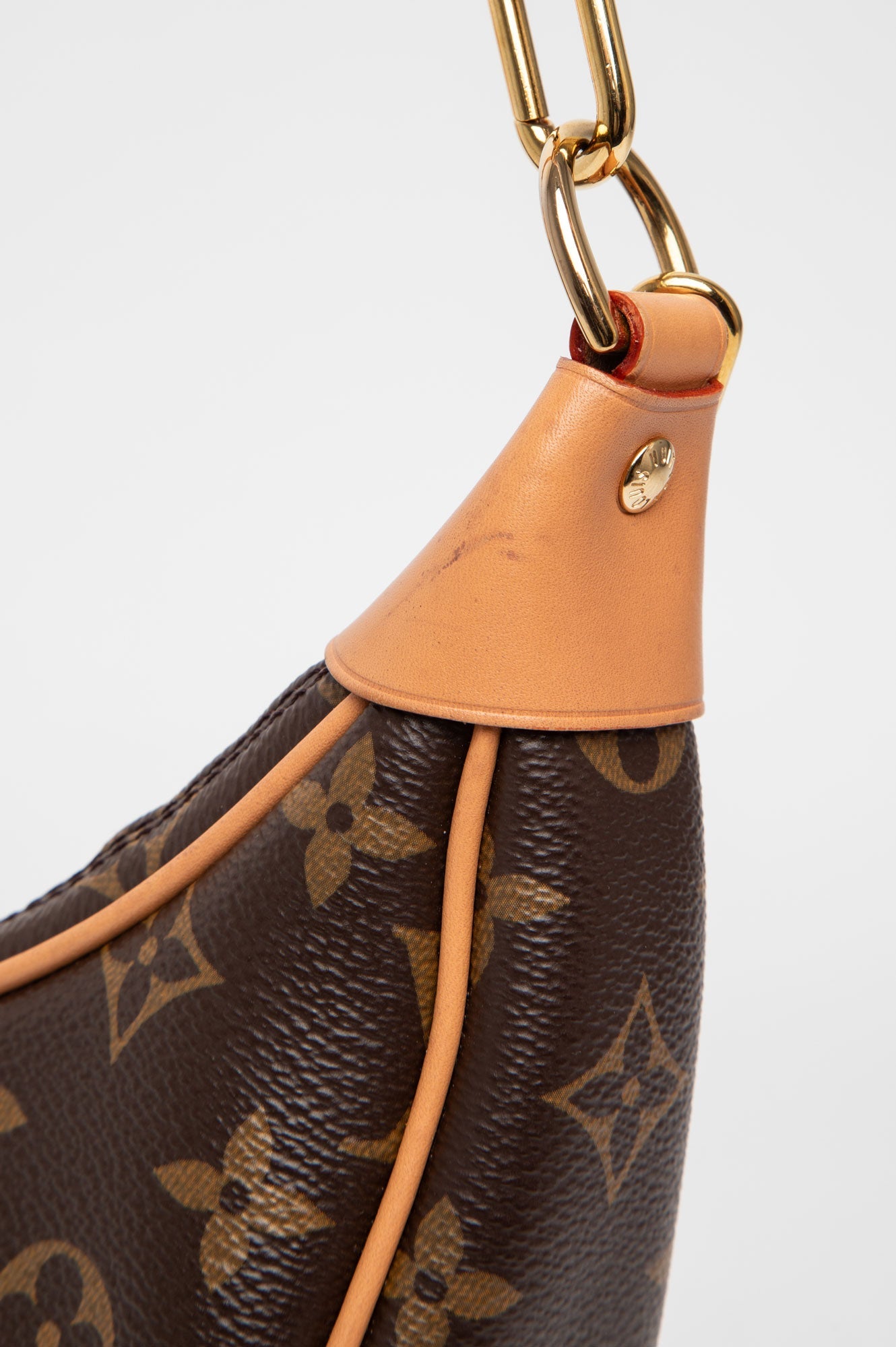 Louis Vuitton Monogram Loop Chain Bag