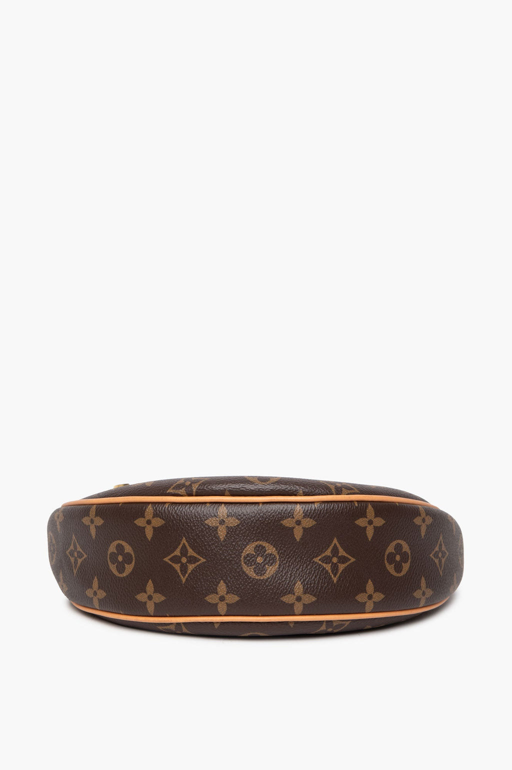 Louis Vuitton Monogram Loop Chain Bag