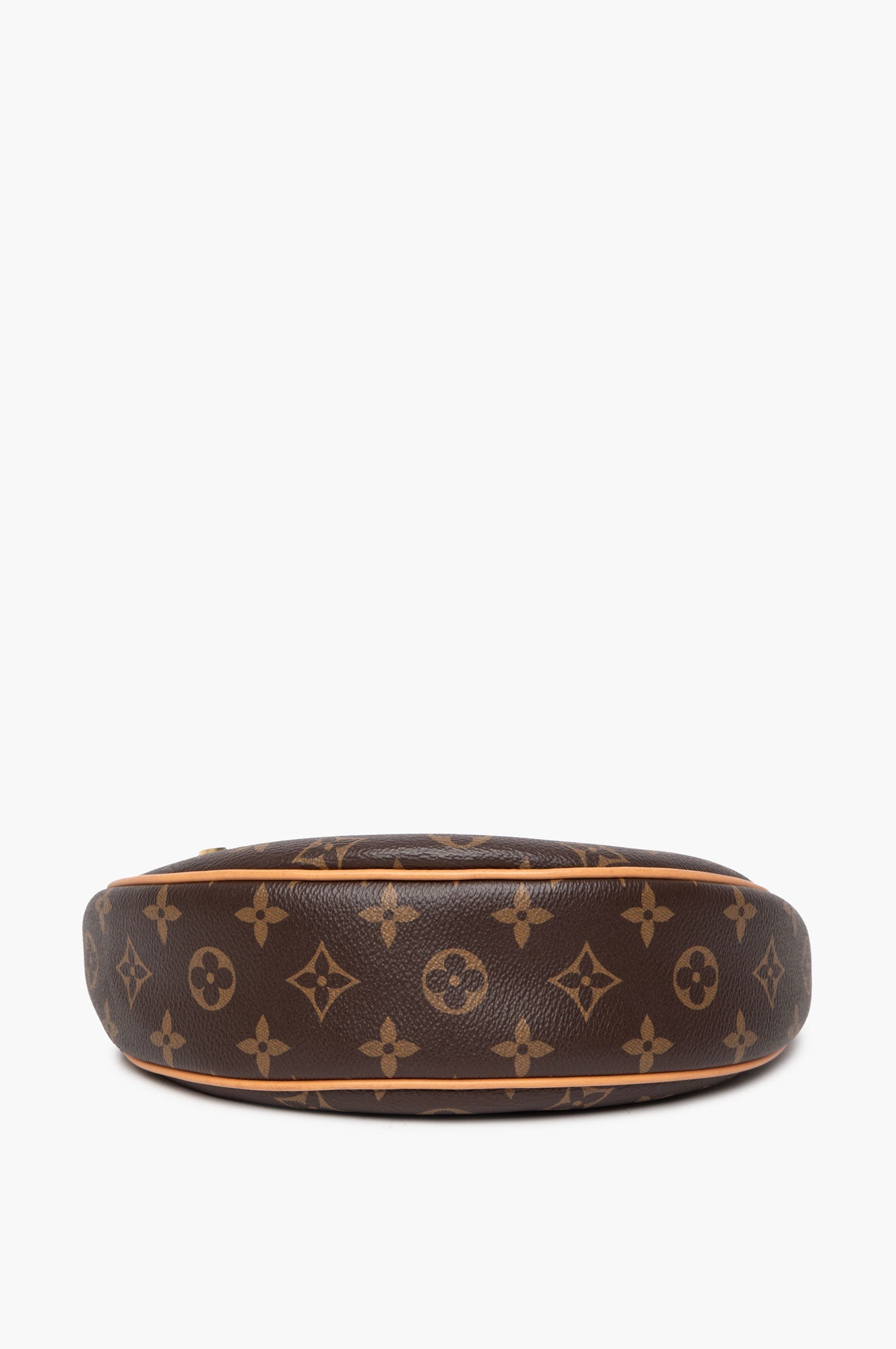 Louis Vuitton Monogram Loop Chain Bag