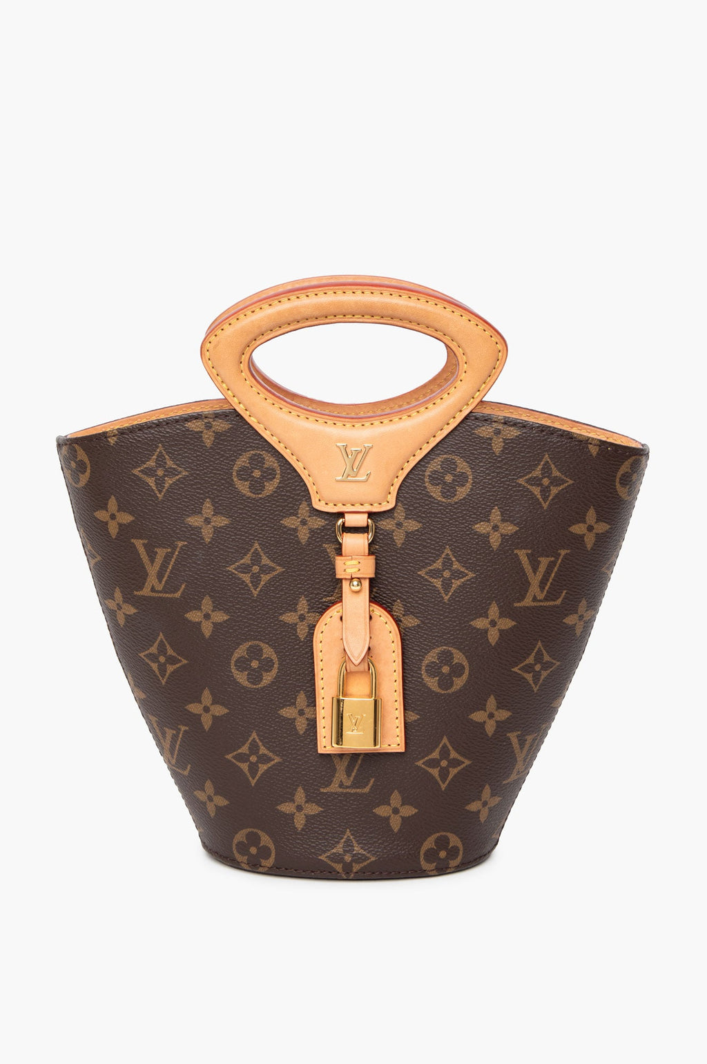 Louis Vuitton Monogram Rivage BB