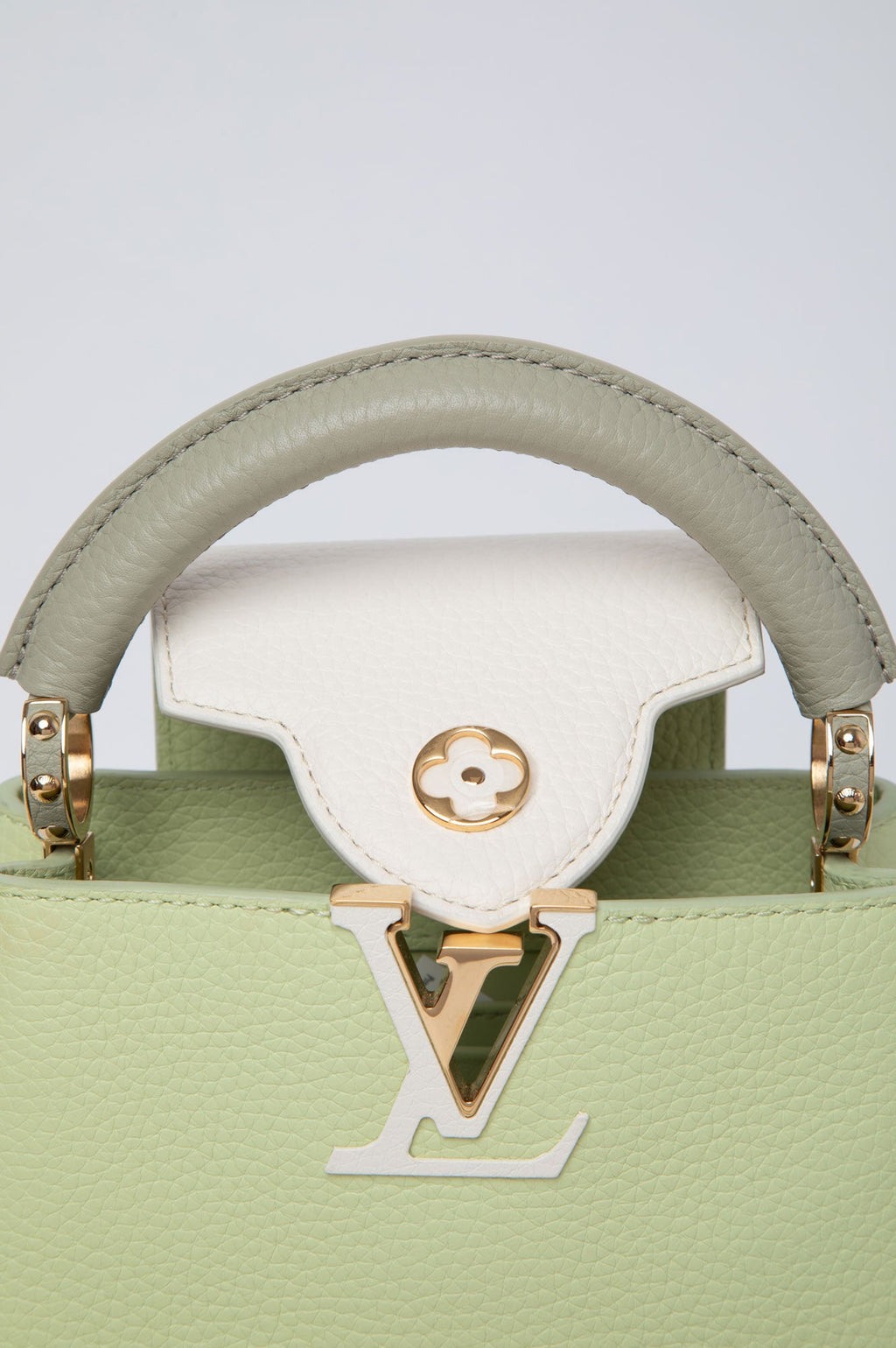 Louis Vuitton Vert Noto Green Capucines Mini Bag
