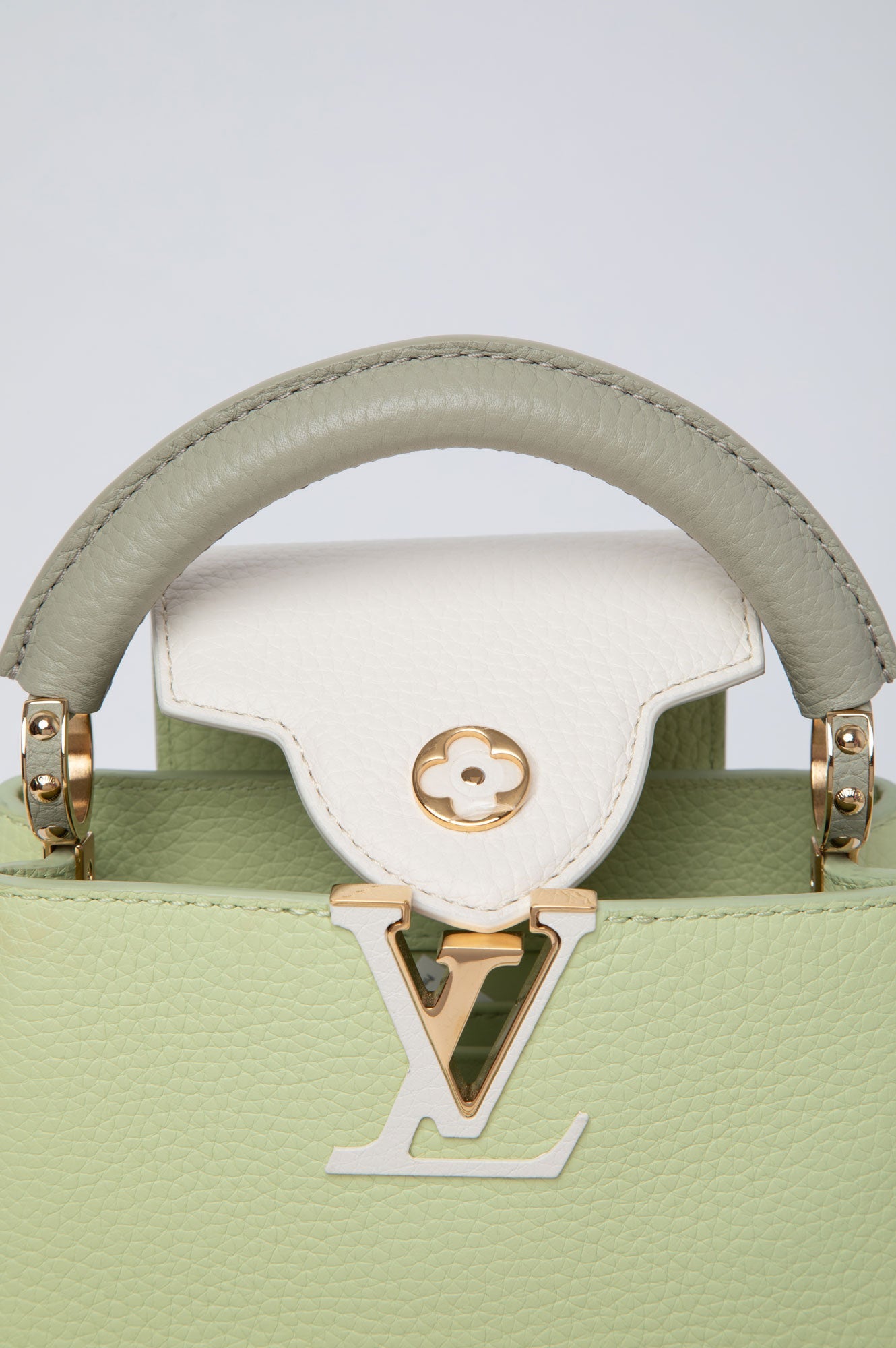 Louis Vuitton Vert Noto Green Capucines Mini Bag