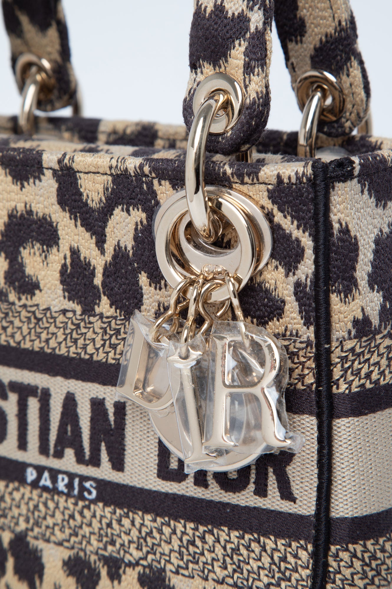Christian Dior Mizza Embroidered Canvas Mini Lady Dior Bag
