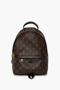 Louis Vuitton Brown Monogram Palm Spring Backpack Size PM